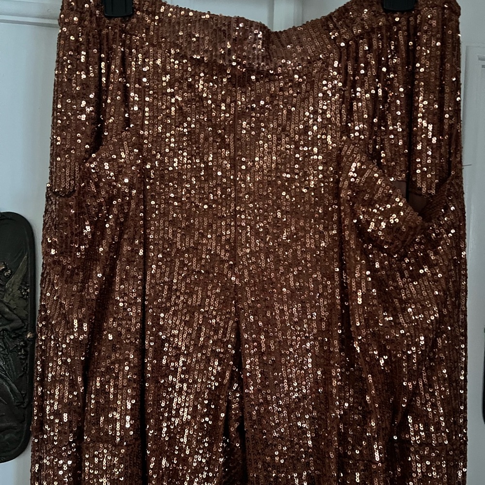 Beautiful bronze copper colored sequin pants Large - Picture 2 of 3